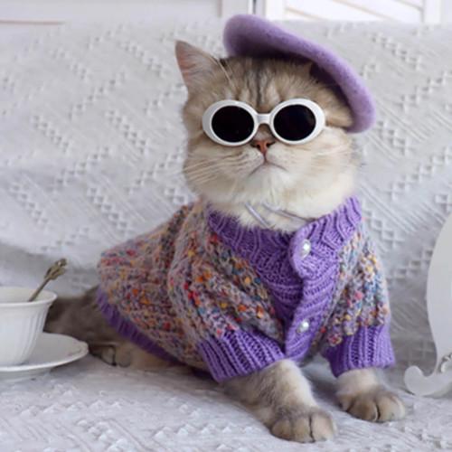 fancy-cat.jpg